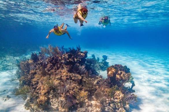 Carnival Cruises - Half Moon Cay 10, Credit. Boldman Media.jpg